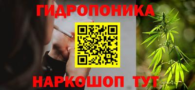 молекула духа Бийск