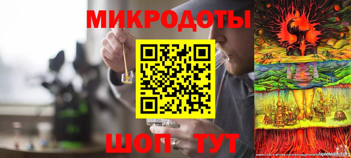 Галлюциногенные грибы Psilocybe Калининград
